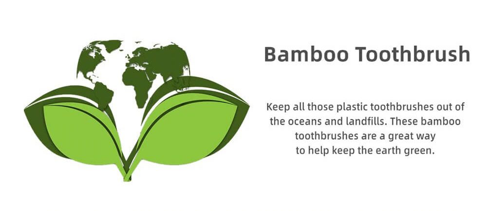 Furçë Dhëmbësh Bamboo (10 copë) 8 Furçë Dhëmbësh Bamboo (10 copë)