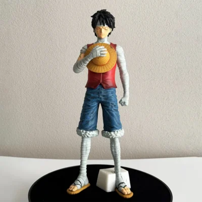 Luffy Tribute to Ace